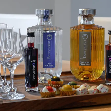 Hotell Hisa Janko Dolenjske Toplice